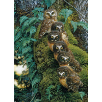 Family Tree 1000 Piece Cobble Hill Puzzle