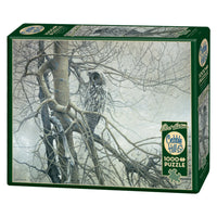 Ghost of the North 1000 Piece Cobble Hill Puzzle