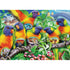 Land of the Lorikeet 1000 Piece Ravensburger Puzzle