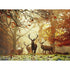 Magic Forests: Stags 1000 Piece Heye Puzzle