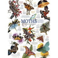 Moth Collection 1000 Piece Cobble Hill Puzzle