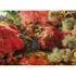 The Butchart Gardens: Japanese Garden 1000 Piece Eurographics Puzzle